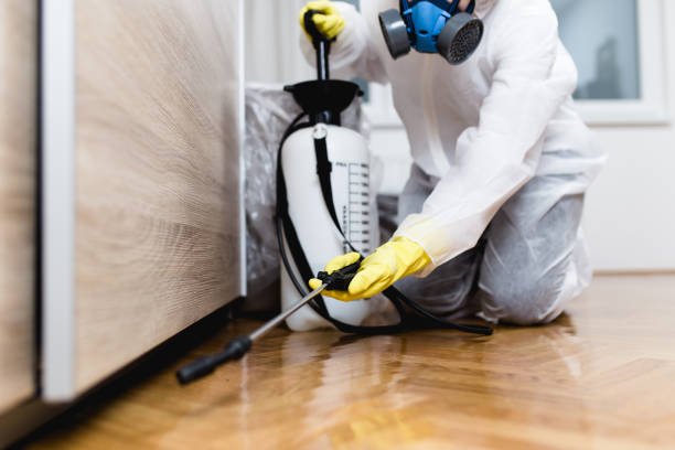 Best Affordable Pest Control Services  in Hewitt, TX