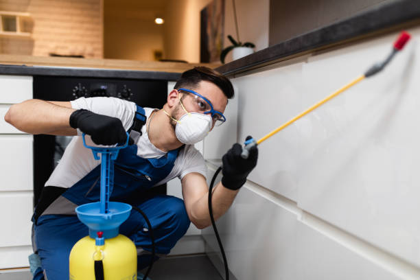 Best Residential Pest Control  in Hewitt, TX