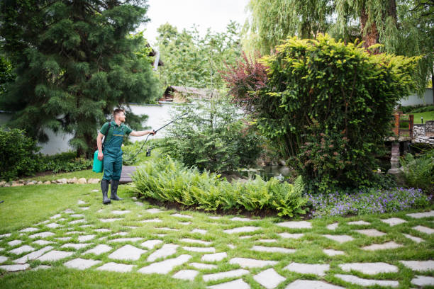 Professional Pest Control in Hewitt, TX