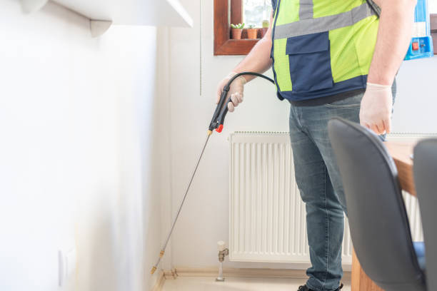 Best Flea Control Services  in Hewitt, TX