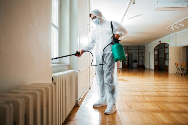 Best Pest Prevention Services  in Hewitt, TX